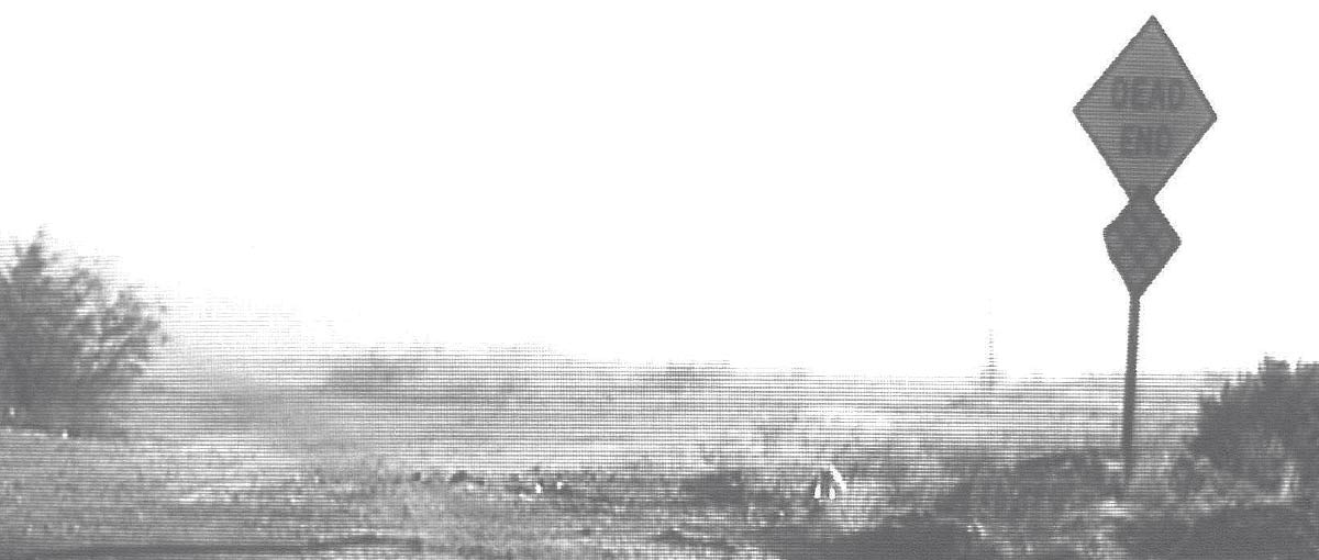 Fluchtlinien des Exils