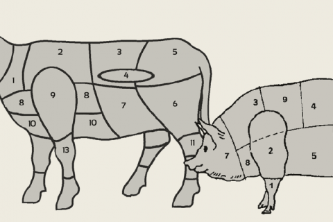 Die Natur des Kapitalismus