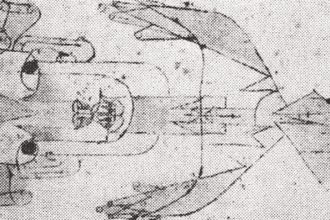 Geschichte nach Auschwitz